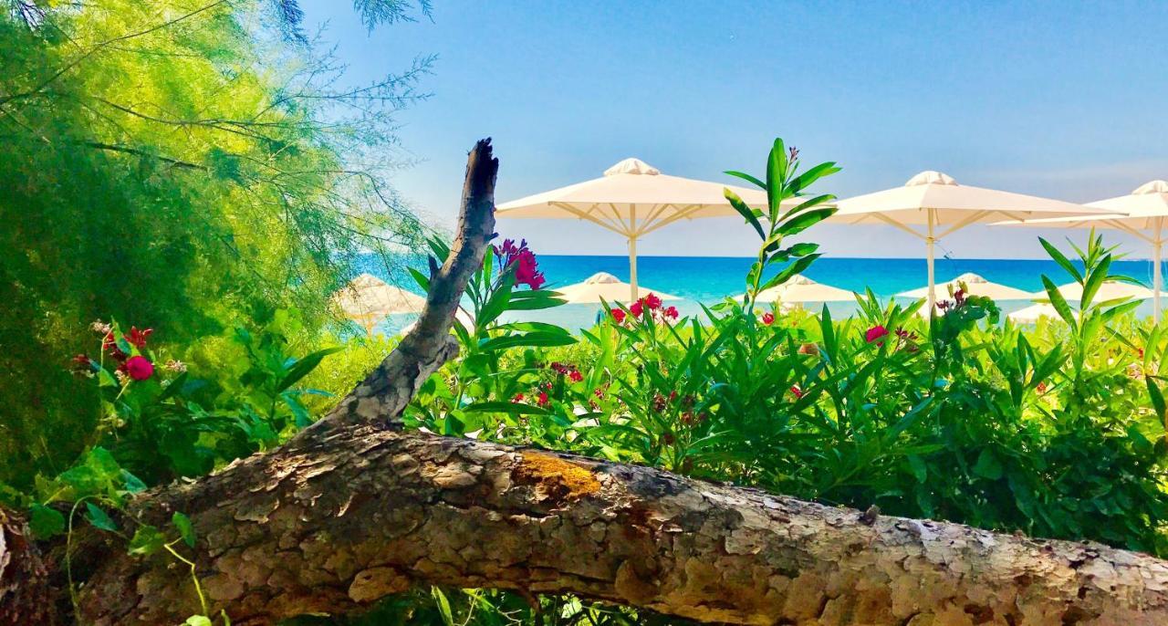 Kassandra Mare Hotel Nea Poteidaia Ngoại thất bức ảnh