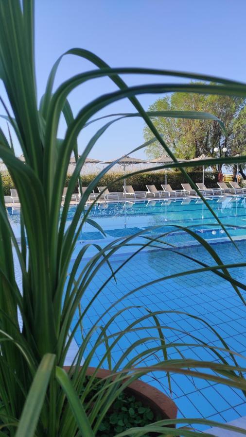 Kassandra Mare Hotel Nea Poteidaia Ngoại thất bức ảnh