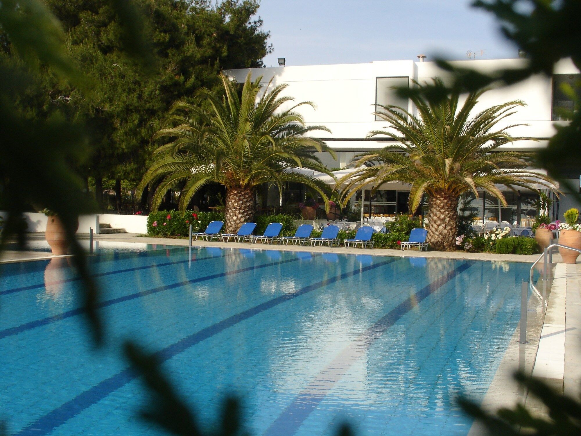 Kassandra Mare Hotel Nea Poteidaia Ngoại thất bức ảnh